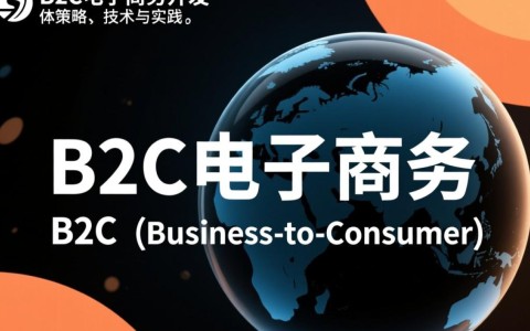 B2C电子商务开发过程中，有哪些关键环节需要注意？