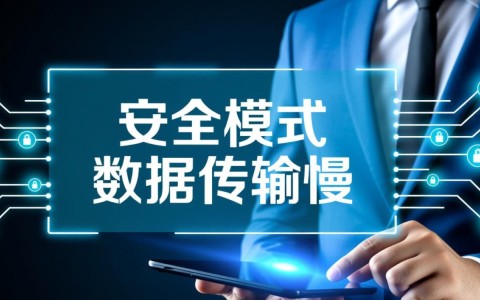安全模式下数据传输慢是什么原因导致的？