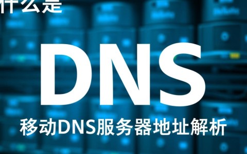 江门移动DNS和普通DNS服务器地址分别是多少？如何获取？