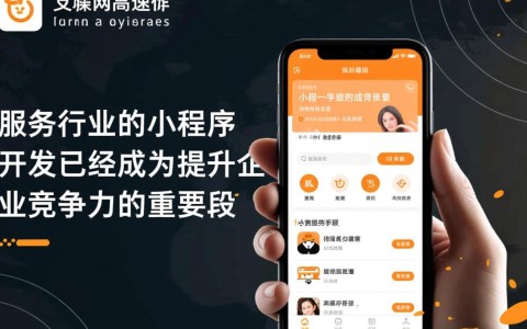 服务行业小程序开发，如何确保用户体验与运营效率的双重优化？