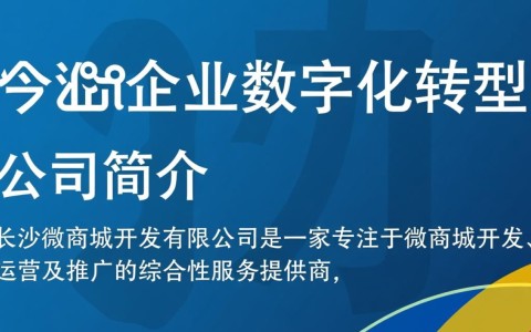 长沙微商城开发有限公司,如何引领本地微商城市场发展?