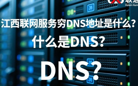 江西联通服务器dns地址具体指什么？有何重要性？