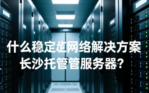 长沙托管服务器，性价比如何？哪家服务商更值得信赖？