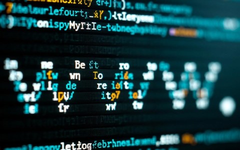 域名和域名证书之间有何区别与联系？揭秘其关键作用与选择要点！