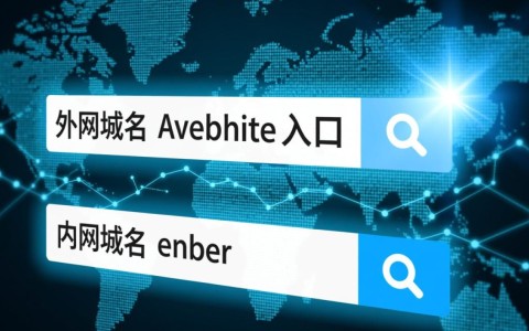 外网域名 内网域名究竟有何区别？揭秘网络域名奥秘！