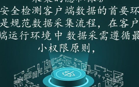 安全检测客户端数据时如何确保检测准确性与效率?