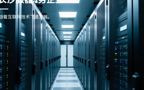 长沙服务器企业现状及未来发展趋势如何？
