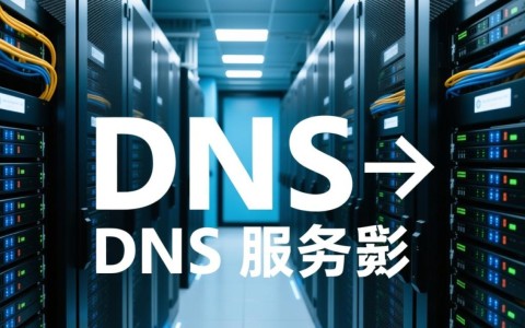 江苏连云港与苏州DNS服务器地址有何不同？为何选择不同地址？