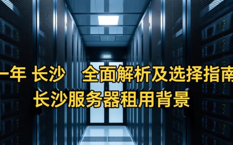 长沙服务器租用一年，性价比如何？值得投资吗？