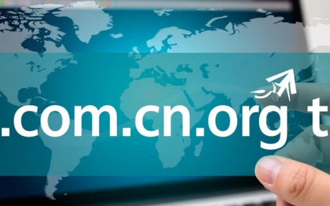 域名查子域名如何高效识别和管理子域名，避免潜在风险？