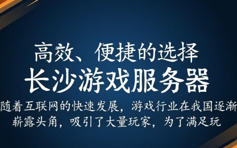 长沙租游戏服务器，价格合理吗？性能如何？值得信赖吗？