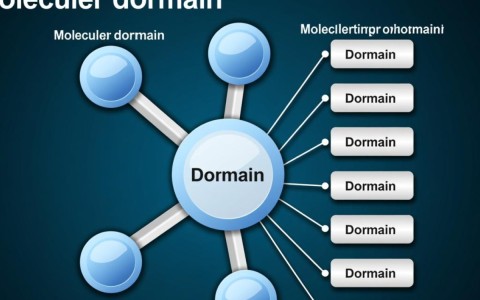 分子域名是什么？与传统域名有何不同？如何实现域名分子化？