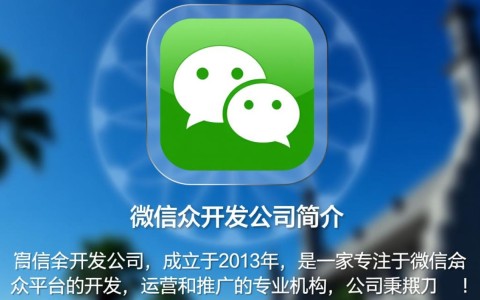 微信公众开发公司简介，揭秘其业务范围及发展前景？