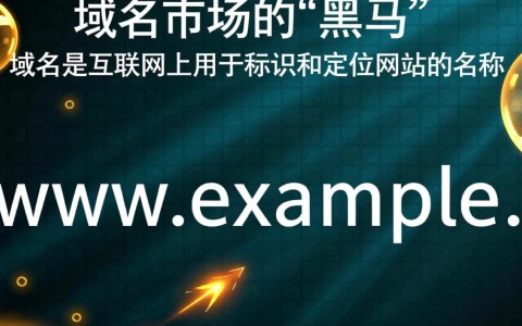 域名次高域名，其价值与潜力如何，是否值得投资探讨？