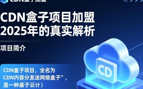 2025年cdn盒子项目加盟真的可信吗？揭露加盟骗局真相！