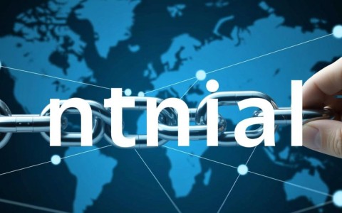 域名 链接 其他域名如何有效管理和优化，提升网站流量与品牌形象？