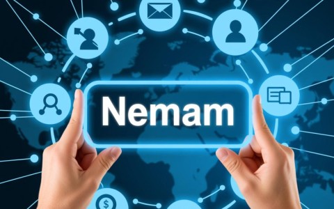 如何准确评估域名价值？揭秘域名价值评估的关键因素