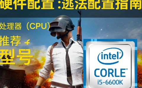 绝地求生大逃杀配置攻略，新手如何快速提升游戏体验？