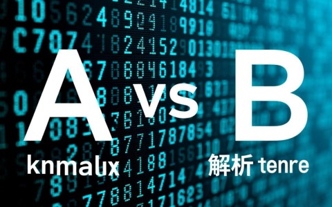 域名a vs 域名b究竟谁才是网络世界的佼佼者？揭秘两大域名之争