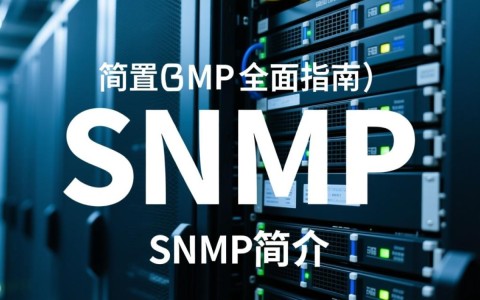 服务器配置SNMP时，如何确保其安全性和高效性？