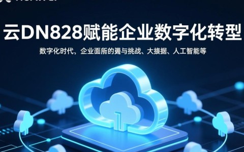 华为云CDN828如何助力企业高效实现数字化转型？