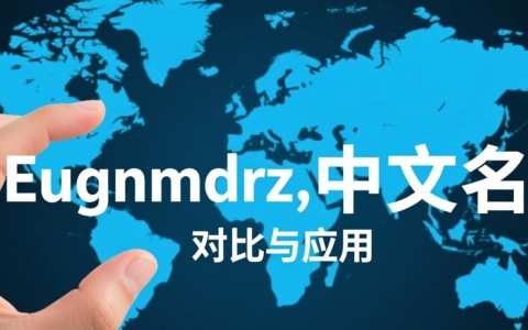 英文域名 中文域名两者在SEO和用户体验上有哪些显著差异和优势？