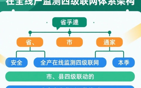 安全生产在线监测四级联网如何实现高效协同监管？