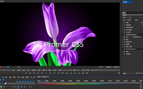 Premiere CS5配置要求是什么？电脑配置如何满足制作需求？