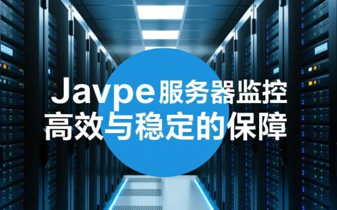 Java如何实现高效服务器监控及优化策略？