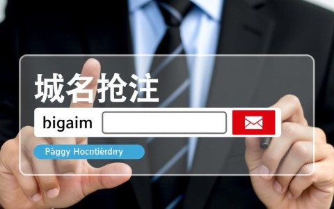 域名抢注如何应对过期域名的大量涌现？