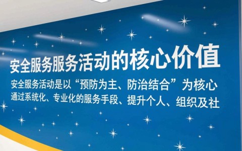 安全服务活动有哪些具体内容能提升企业防护能力？