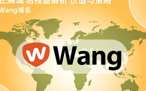wang域名溢价域名为何如此抢手？揭秘其价值所在！