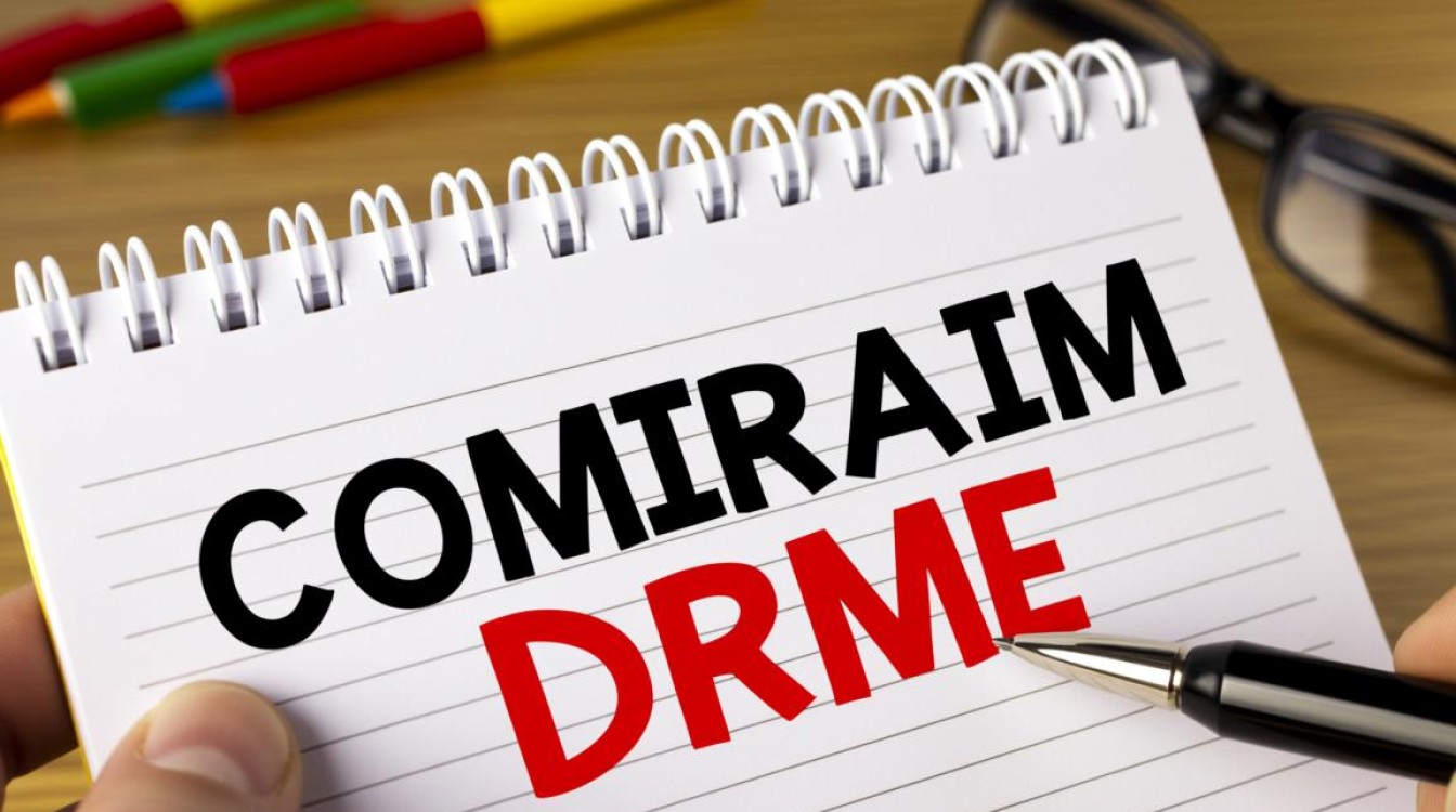 企业域名与漫游域名有何区别与联系？解析两者应用场景及优势？