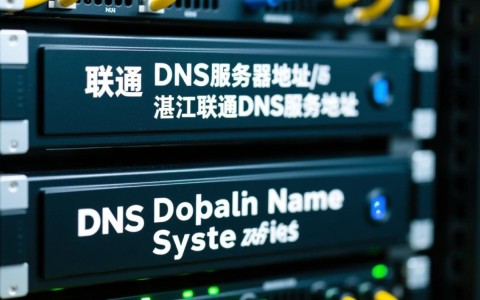 江门联通DNS服务器地址和湛江联通DNS服务器地址有何不同之处？