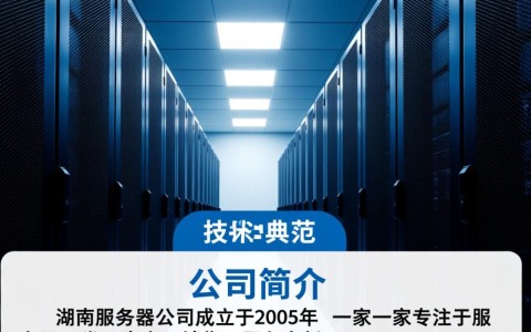 湖南服务器公司，其服务品质与市场竞争力如何定位？