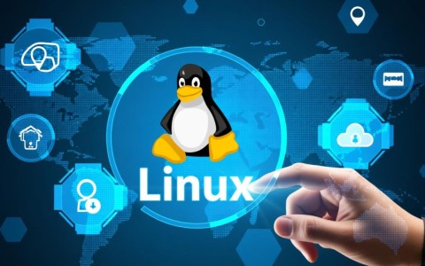 安全牛的Linux教程适合零基础小白吗？