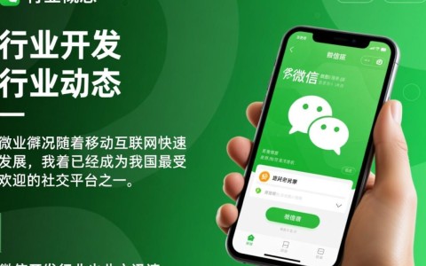 微信开发行业动态，未来趋势如何？技术变革将带来哪些挑战与机遇？