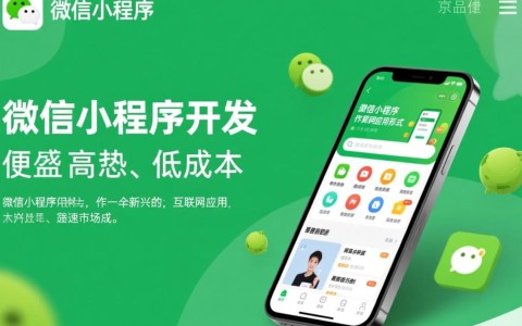 聊城微信小程序开发报价是多少?性价比如何?有哪些影响因素?