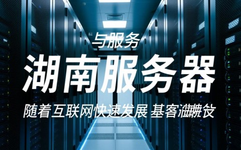 湖南服务器为何在业界享有盛誉？揭秘其独特优势与全球影响力？
