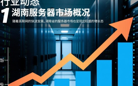 湖南服务器一月，为何增长迅速？背后原因揭秘！