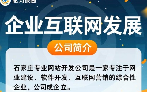 石家庄专业网站开发公司哪家更值得信赖？揭秘行业佼佼者！