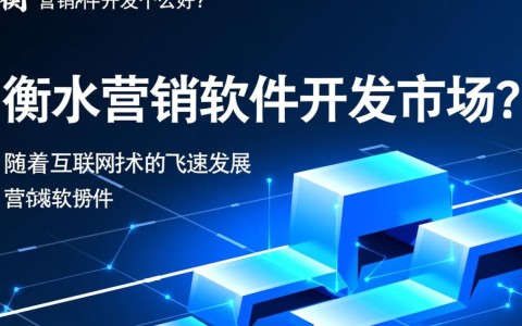 衡水地区营销软件开发，究竟哪家企业服务更优？揭秘性价比最高的选择！