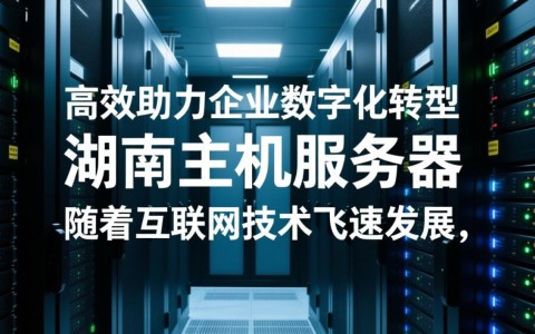 湖南地区的主机服务器为何如此受欢迎？揭秘其独特优势与市场潜力！