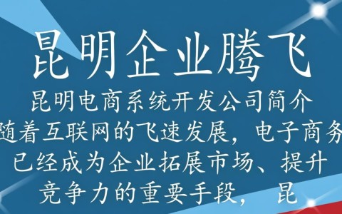 昆明电商系统开发公司，哪家更专业？如何选择合适的服务商？