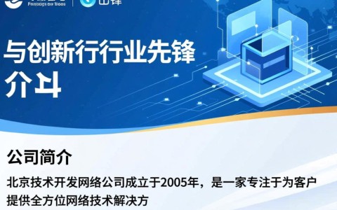 北京技术开发网络公司，如何引领行业创新，打造卓越网络解决方案？