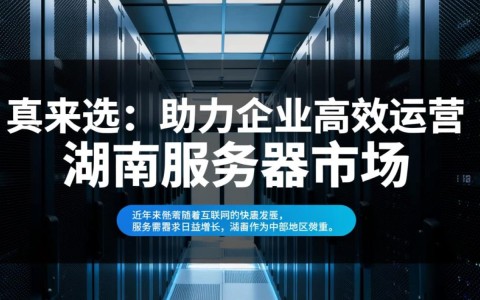 湖南地区为何便宜服务器如此受欢迎？性价比高的秘密是什么？