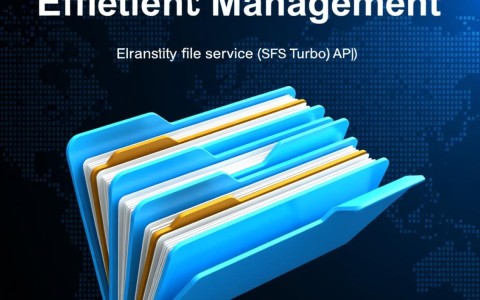 弹性文件服务(SFS Turbo)API中，如何查询quotaShowFsDirQuota_目录的目录管理权限？