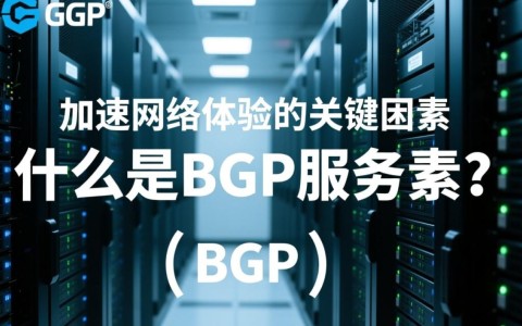 湖南bgp服务器，为何成为网络连接关键节点，其性能如何？