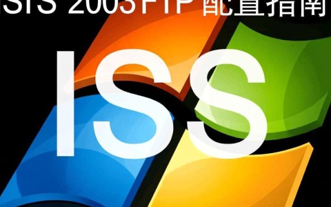 IIS 2003 FTP配置中，如何实现高效且安全的文件传输设置？