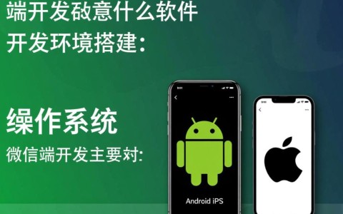微信端开发究竟需要哪些关键软件和工具？